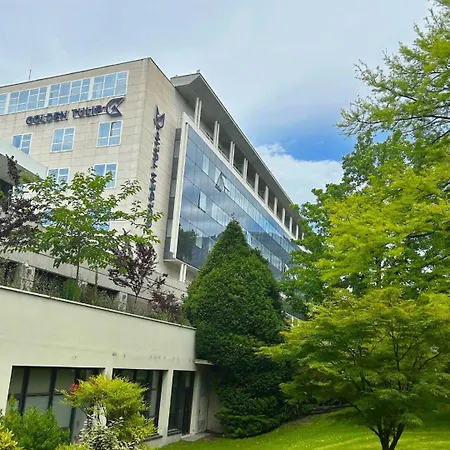 艾克斯莱班金色郁金香spa酒店 酒店