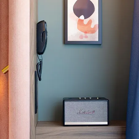 艾克斯莱班金色郁金香spa酒店 酒店