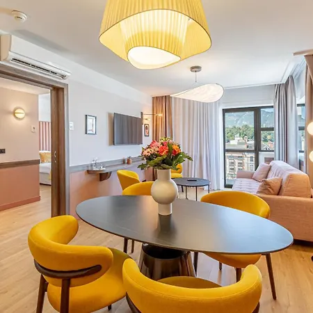 艾克斯莱班金色郁金香spa酒店 4*